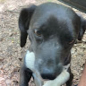 Meet your Posher, Jeff